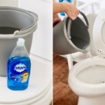 Unclog a Toilet Without a Plunger