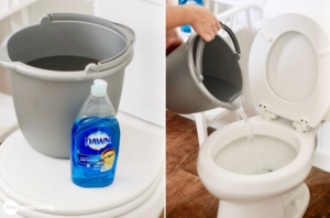 Read more about the article Unclog a Toilet Without a Plunger