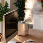 Indoor Air Quality: How Air Purifiers Can Improve Your Health 23