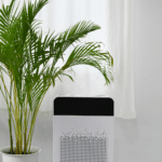 Indoor Air Quality: How Air Purifiers Can Improve Your Health 8