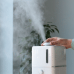 Indoor Air Quality: How Air Purifiers Can Improve Your Health 14