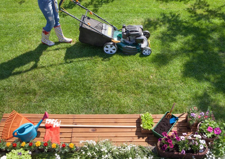 seasonal lawn maintenance