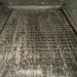 dirty evaporator coils