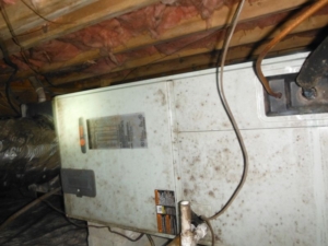 mold on the outside of an air handler