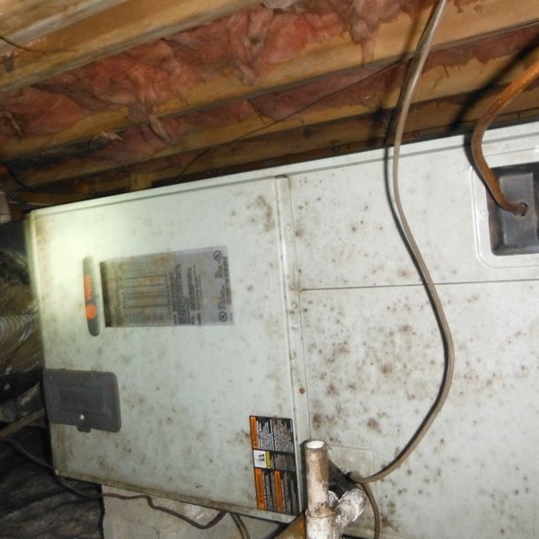 Growth on an Air Handler: Moisture Causes and Corrective Steps 1 Air-handler cabinet with visible surface growth