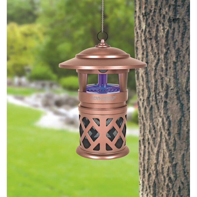outdoor insect traps