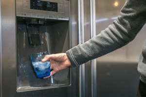 Refrigerator Water Filter