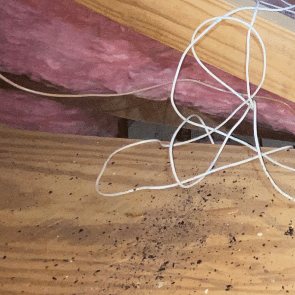 Rafter Spacing: The Key to a Strong and Efficient Roof - GGR Home ...