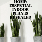 The Top Indoor Plants for Clean Air and Better Health 75