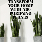 The Top Indoor Plants for Clean Air and Better Health 59