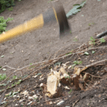 The Cost of Tree Removal: Factors, Average Prices 38