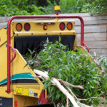 The Cost of Tree Removal: Factors, Average Prices 46