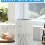 Indoor Air Quality: How Air Purifiers Can Improve Your Health 15