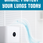 Indoor Air Quality: How Air Purifiers Can Improve Your Health 14