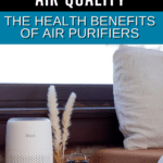 Indoor Air Quality: How Air Purifiers Can Improve Your Health 13