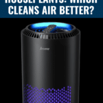 Indoor Air Quality: How Air Purifiers Can Improve Your Health 11