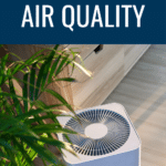 Indoor Air Quality: How Air Purifiers Can Improve Your Health 5