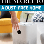 Indoor Air Quality: How Air Purifiers Can Improve Your Health 19