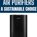 Indoor Air Quality: How Air Purifiers Can Improve Your Health 16